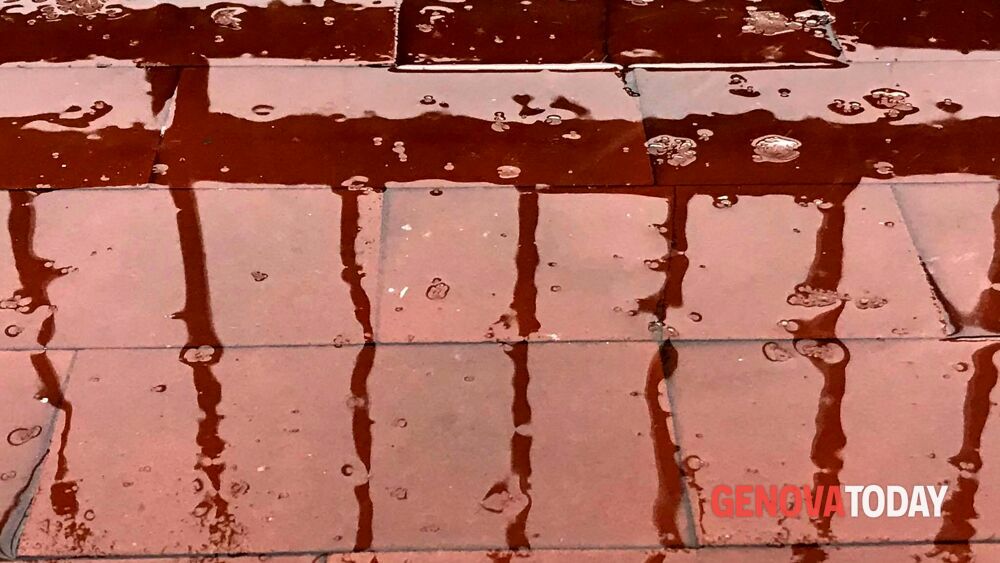 Meteo bizzarro: dopo caligo, ecco la 'graupel' o neve tonda dlvr.it/RvtFmc