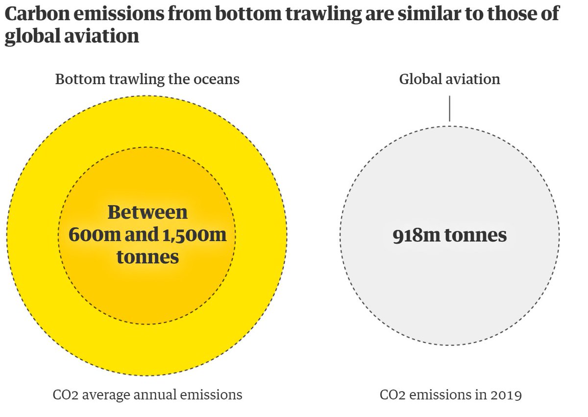 SeahorseEnv's tweet image. Ground-breaking new study reveals that fishing boats trawling the ocean floor release as much CO2 as the entire global aviation industry.

The UK is the world's 4th largest emitter of carbon through trawling - it is vital that our COP26 presidency must address this!