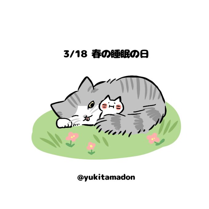 寝てる猫のtwitterイラスト検索結果