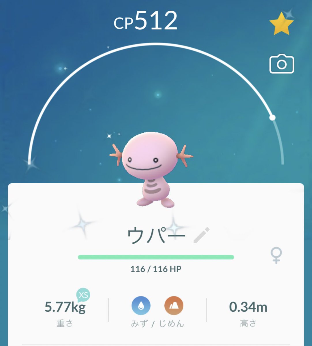 ポケモンgo オタチの色違い 入手方法と実装状況 攻略大百科 ポケモンgo オタチの色違い 入手方法と実装状況 攻略大百科