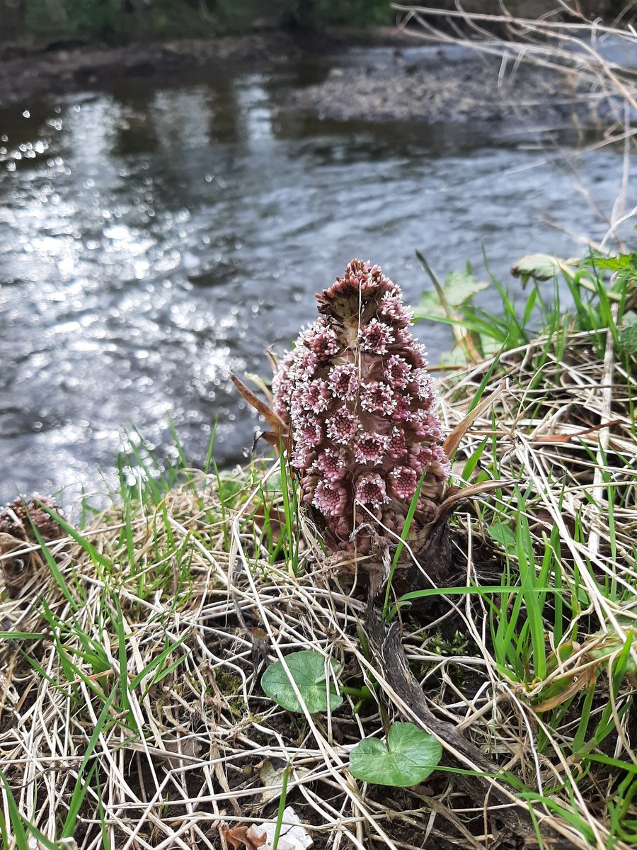 Paul Aiken tweet media