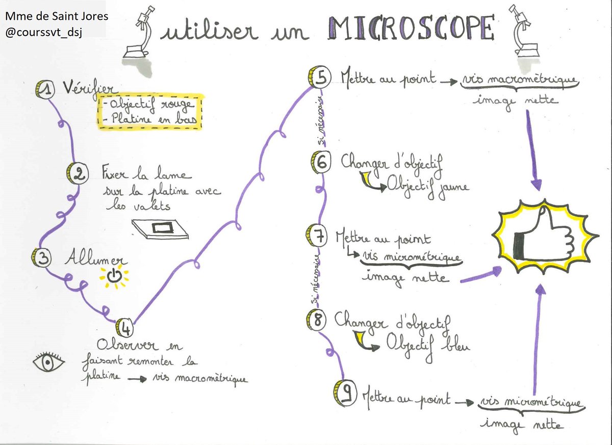 courssvt_dsj's tweet photo. Guide d'utilisation du microscope
#methode #microscope #SVT https://t.co/bBelShI9Yc