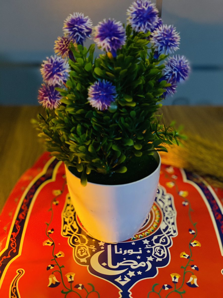 AbshnabS's tweet photo. اضاءه صغيرة الحجم 1,800 SDG

Plant vase :1,200 SDG https://t.co/Gt4wV5tViC