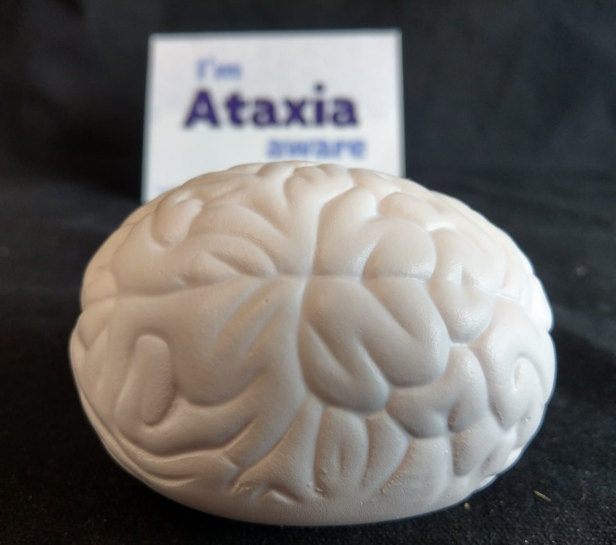 Ataxia_and_Me's tweet image. Are you #Ataxia aware ?
Are you aware its
#BrainAwarenessWeek2021 
#BrainAwarenessWeek 
#Brain