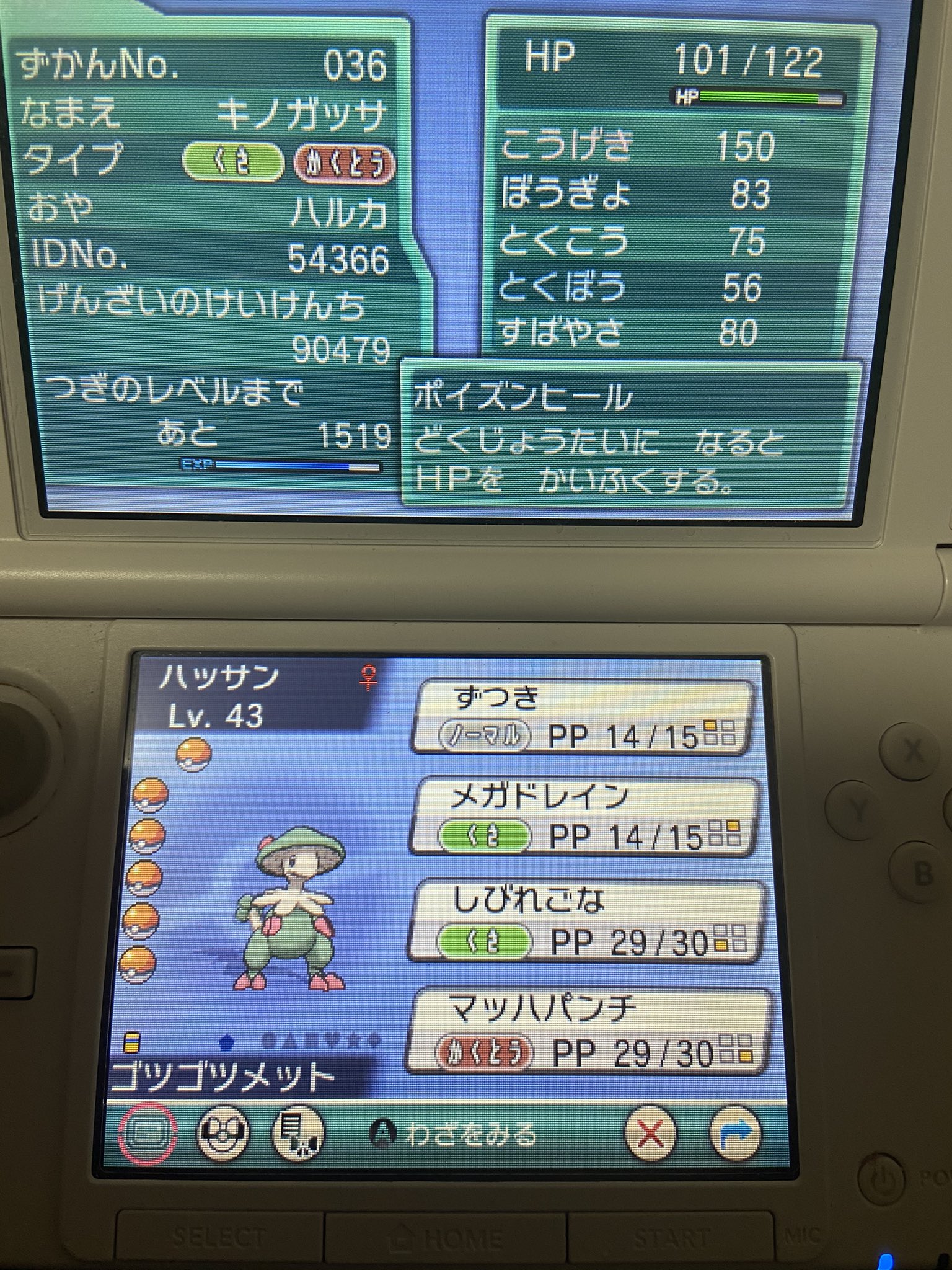 みかん 本日はここまで お疲れ様でした Oras アルファサファイア T Co Fuvb0gpuyt Twitter