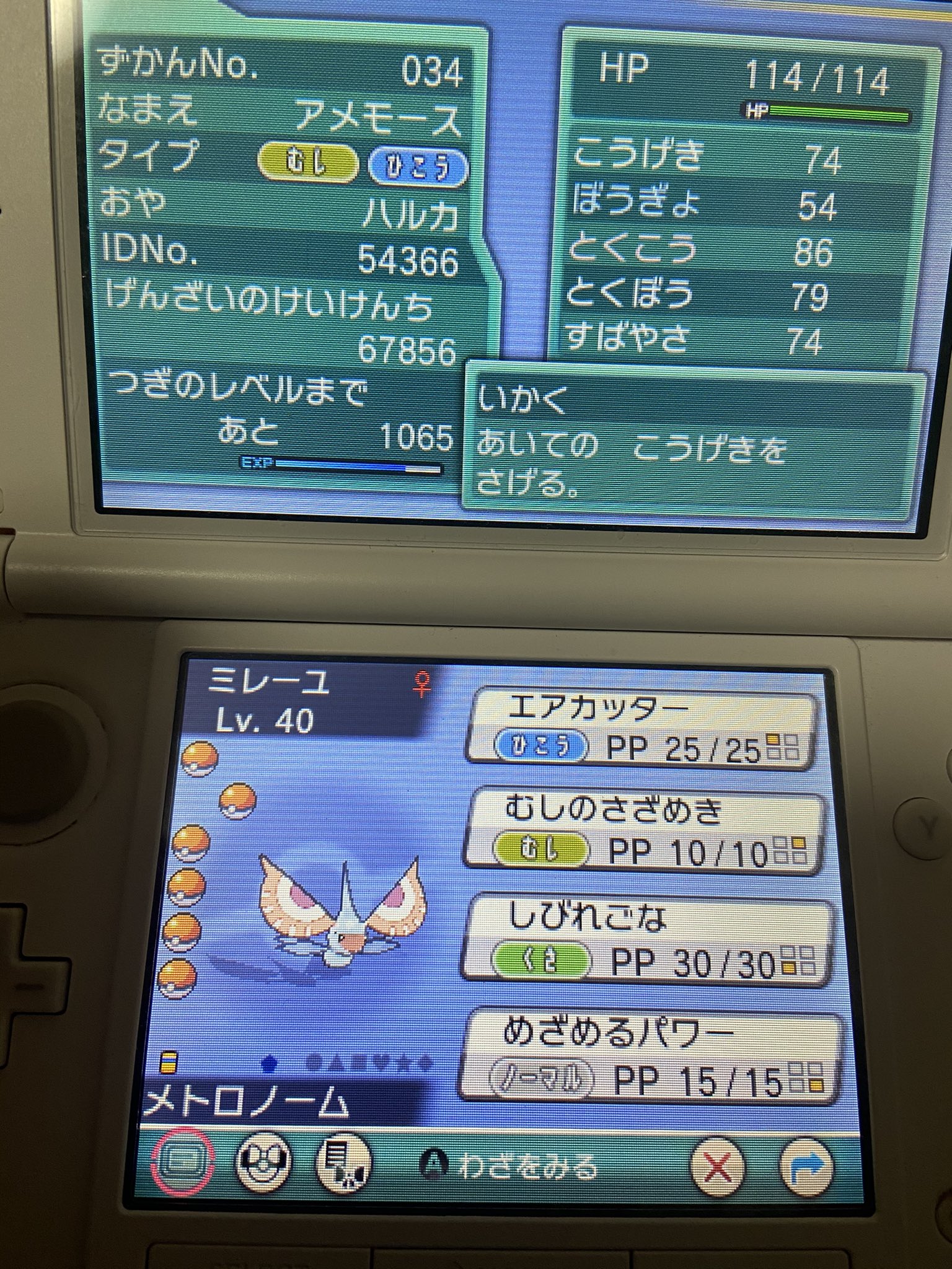 みかん 本日はここまで お疲れ様でした Oras アルファサファイア T Co Fuvb0gpuyt Twitter