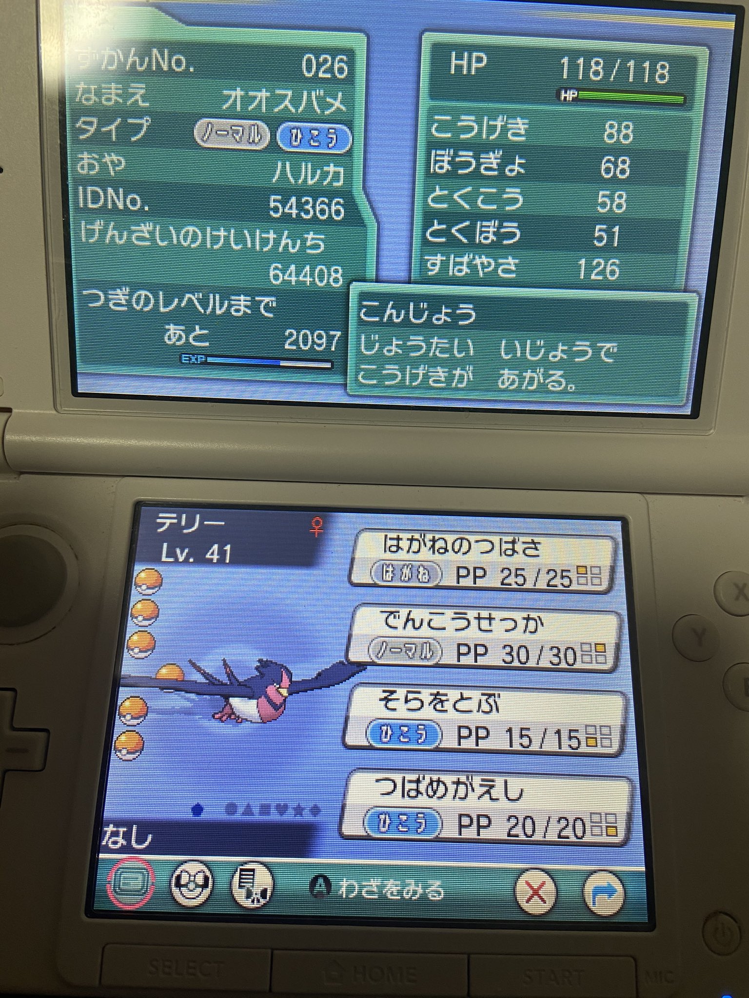みかん 本日はここまで お疲れ様でした Oras アルファサファイア T Co Fuvb0gpuyt Twitter