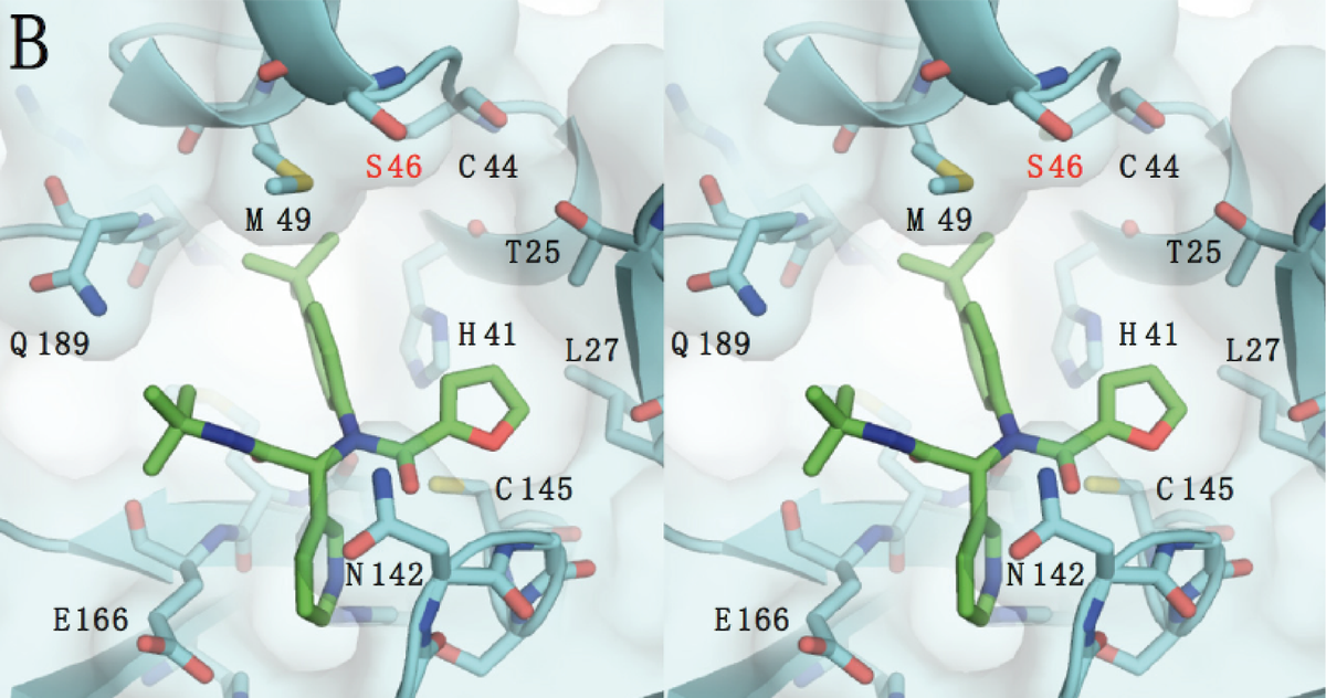 The Schiffer Lab at UMass Medical School are investigating direct acting antivirals including a non-covalent inhibitor ML188.  Using our PACT Premier screen: hubs.ly/H0HCjtX0

Read more about the research: hubs.ly/H0HCjtY0

 #structuralbiology #crystallisation