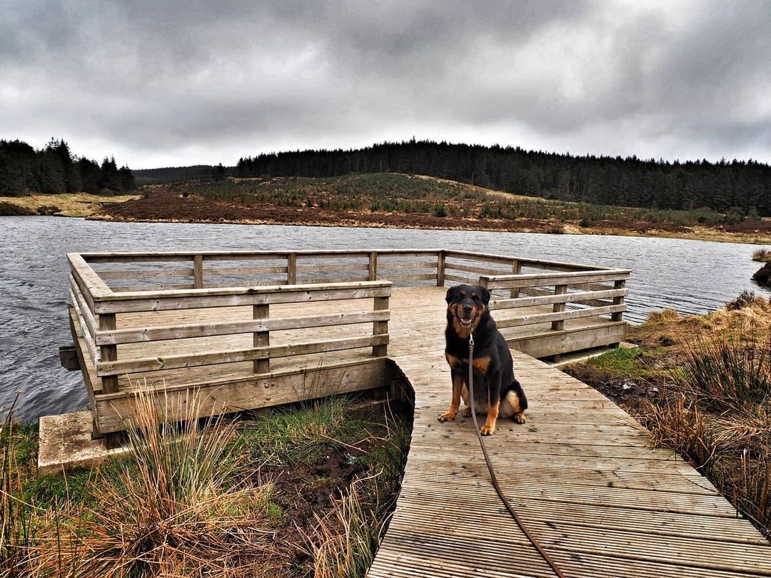Love Ballymena (@loveballymena) on Twitter photo “Not quite the sunny, blue sky I was hoping for, but #Altnahinch Dam was well worth a visit and qualified as my ‘somewhere new’ for the month!”
📸 Lauren Penman • Penman's Lens Photography • <a href="/Penmans_Lens/">Lauren Penman</a> “Not quite the sunny, blue sky I was hoping for, but #Altnahinch Dam was well worth a visit and qualified as my ‘somewhere new’ for the month!”
📸 Lauren Penman • Penman's Lens Photography • <a href="/Penmans_Lens/">Lauren Penman</a>