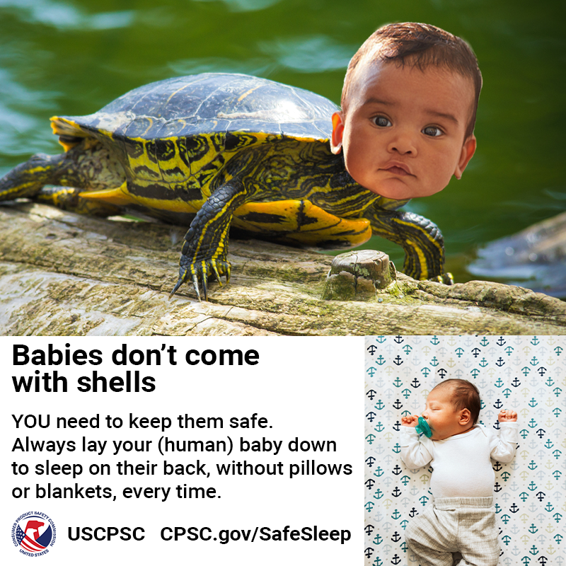 A turtle with the face of a very cute baby. In the lower-right corner is a picture of a baby in a safe sleep environment - the baby is sleeping on their back without pillows or blankets. The text reads: babies don't come with shells, you need to keep them safe. Always lay your (human) baby down to sleep on their back, without pillows or blankets, every time.