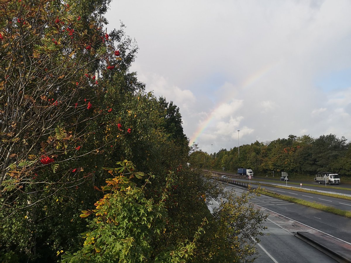 Children have a right to clean air & mature trees play a key role.

We can’t see why children living in this area – already subject to unsafe PM2.5 levels – should be exposed to increased traffic emissions if this vital green buffer is lost.

#ChildFriendlyCDF
#CleanAirWhitePaper