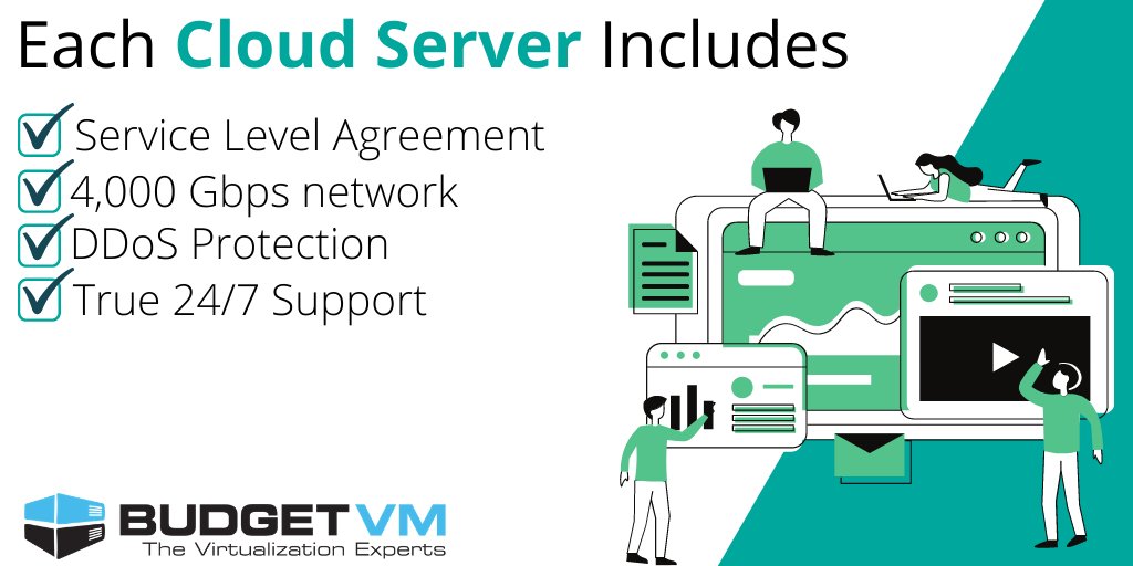 BudgetVM tweet media