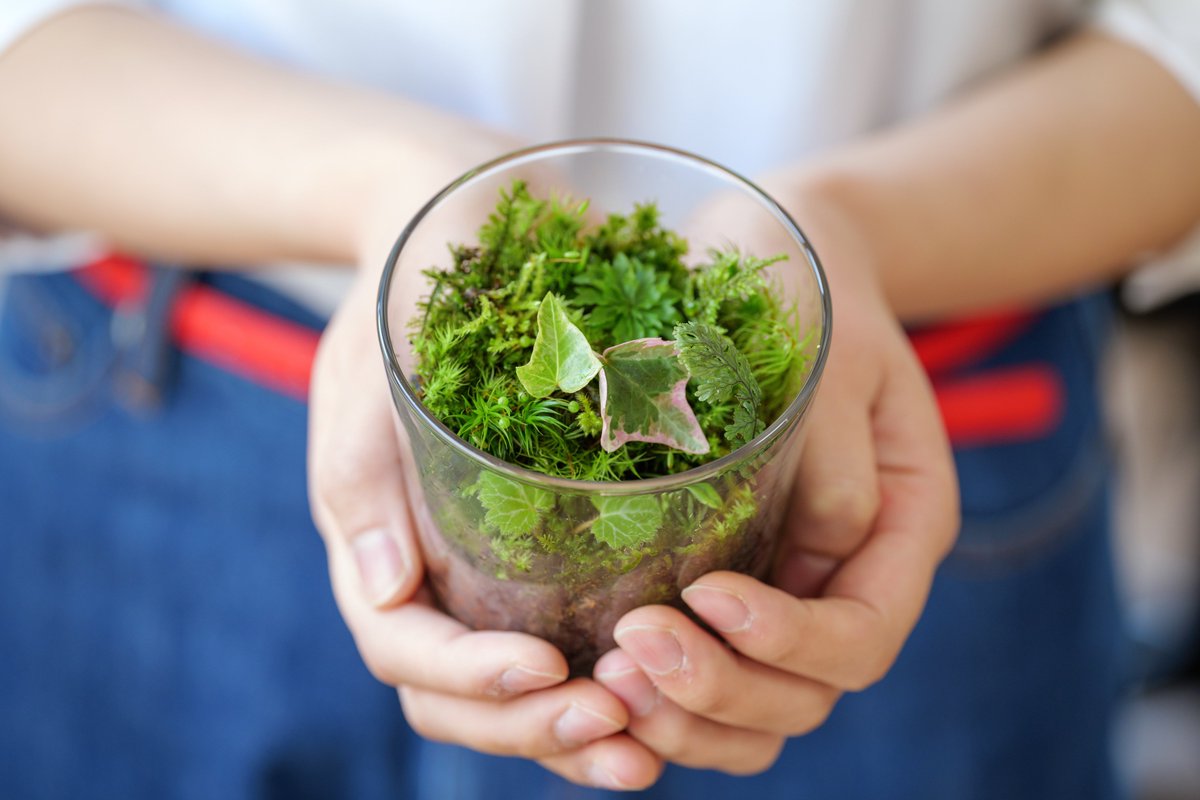 aki_rina's tweet image. 苔テラリウムなどを販売している岐阜県の佐藤農園さん、コロナ影響で売上が8割減となっており【送料無料】の対象です。おうちに緑を増やしたいな〜とお考えの方はこの機会にぜひ！お花などもあって弊社内でファンが増えてます☺️ #農家漁師からのSOS

▼“コケ🌱”など商品一覧
tabechoku.com/producers/2157…