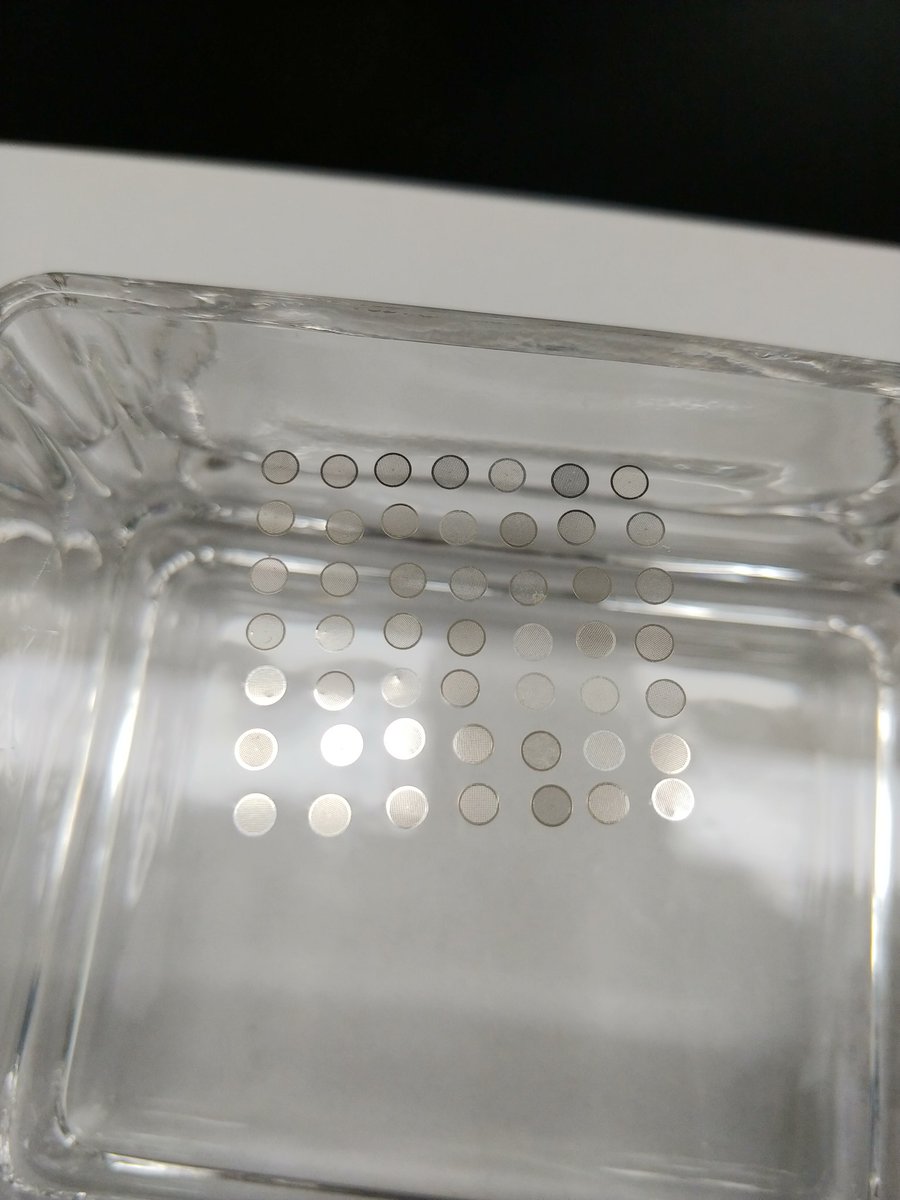 EMhistology's tweet image. coating grid with #collodion #electronmicroscopy #transmissionelectronmicroscopy #TEM #gridcoating