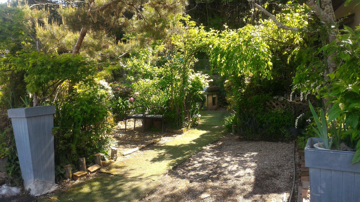 aki_rina's tweet image. 苔テラリウムなどを販売している岐阜県の佐藤農園さん、コロナ影響で売上が8割減となっており【送料無料】の対象です。おうちに緑を増やしたいな〜とお考えの方はこの機会にぜひ！お花などもあって弊社内でファンが増えてます☺️ #農家漁師からのSOS

▼“コケ🌱”など商品一覧
tabechoku.com/producers/2157…