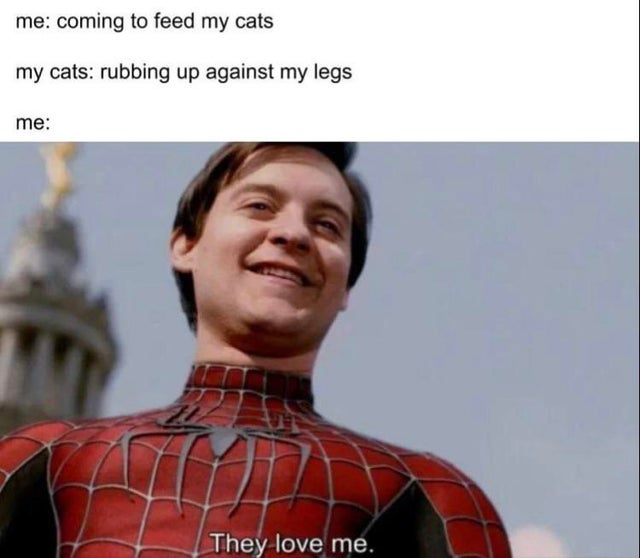 WholesomeMeme's tweet image. 