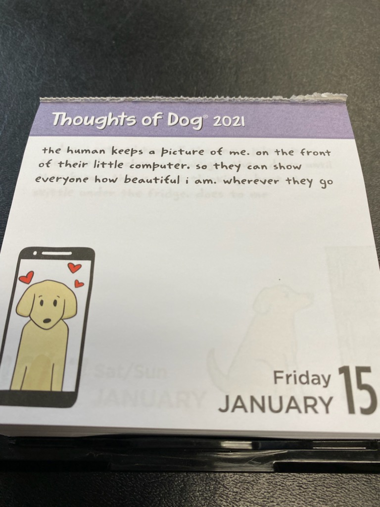 I bought my mom a <a href="/dog_feelings/">Thoughts of Dog</a> desk Calendar for Christmas on the condition that she send me a picture every day of the daily message 😅 here is today's and some of my other favorites 🥰