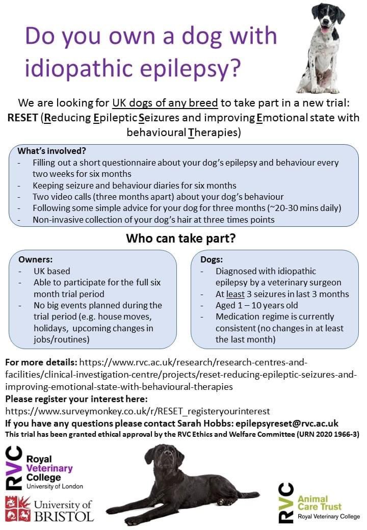 How Long Does A Dog Seizure Last