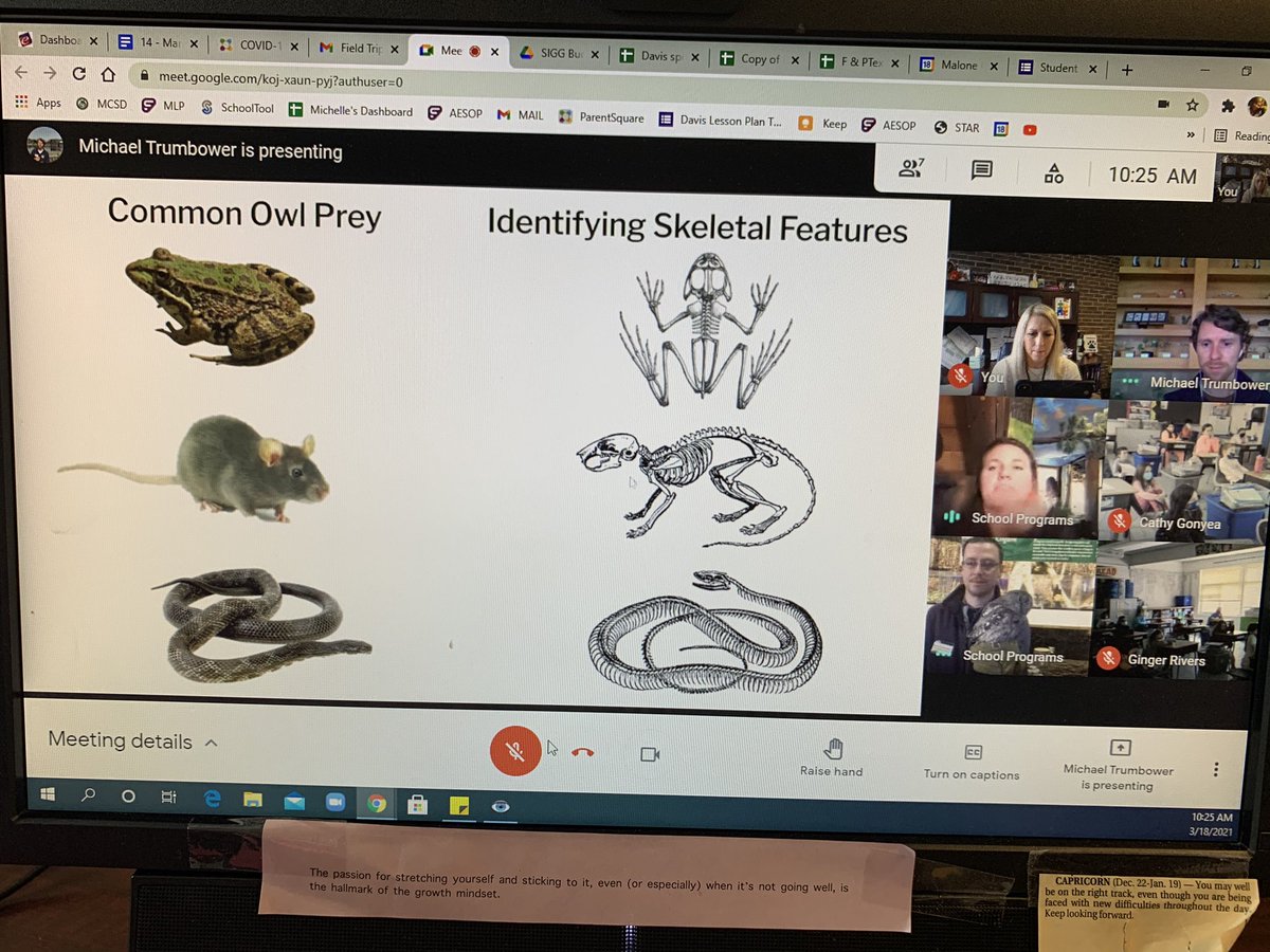 Michelle Bailey tweet media