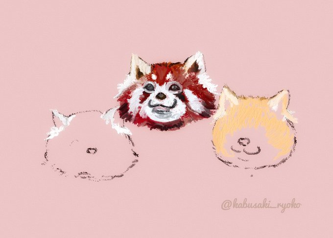 Twoucan レッサーパンダの絵 の注目ツイート イラスト マンガ コスプレ モデル Twoucan レッサーパンダの絵 の注目ツイート イラスト マンガ コスプレ モデル
