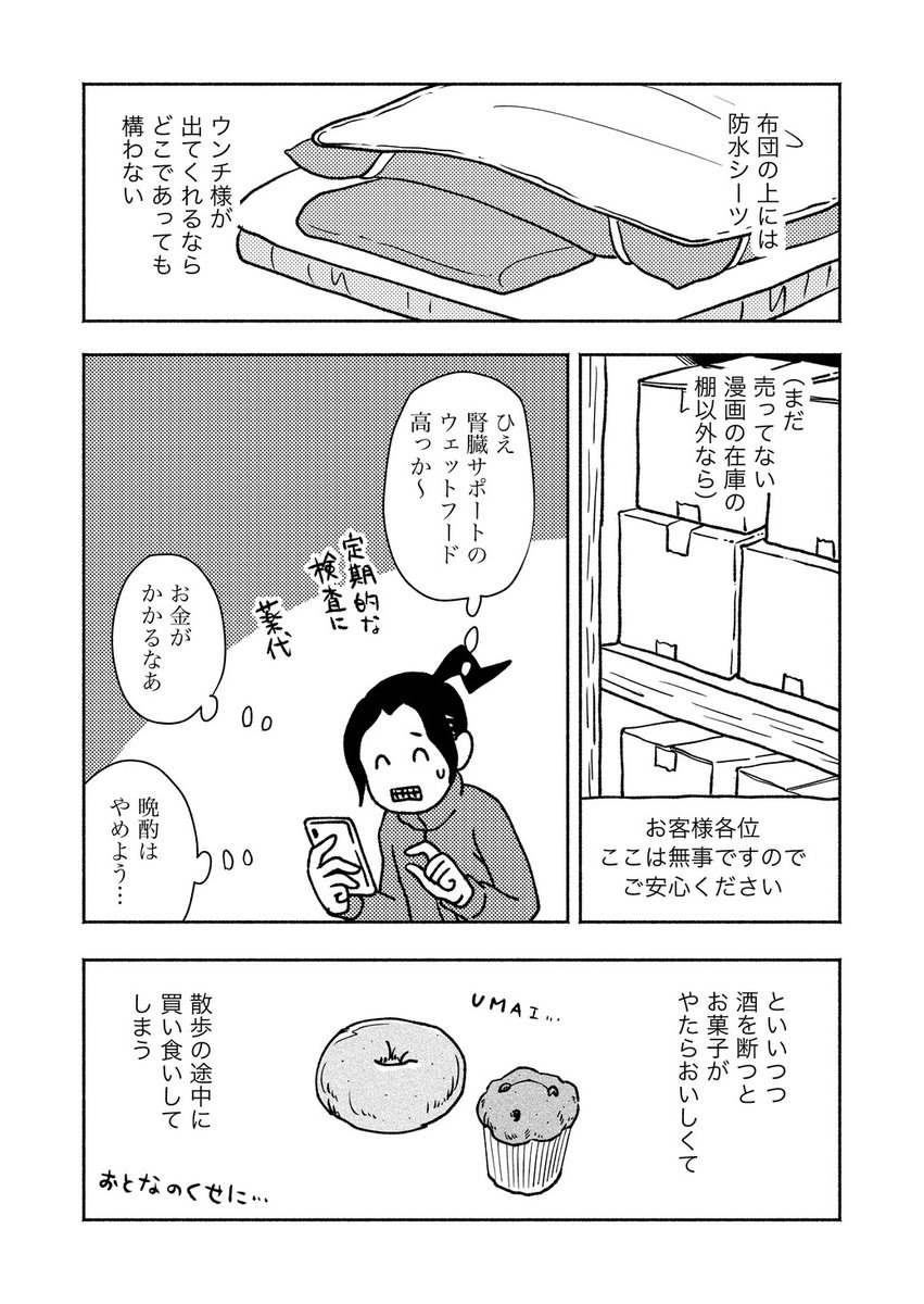 でこっぱち Nekonyacats Twitter