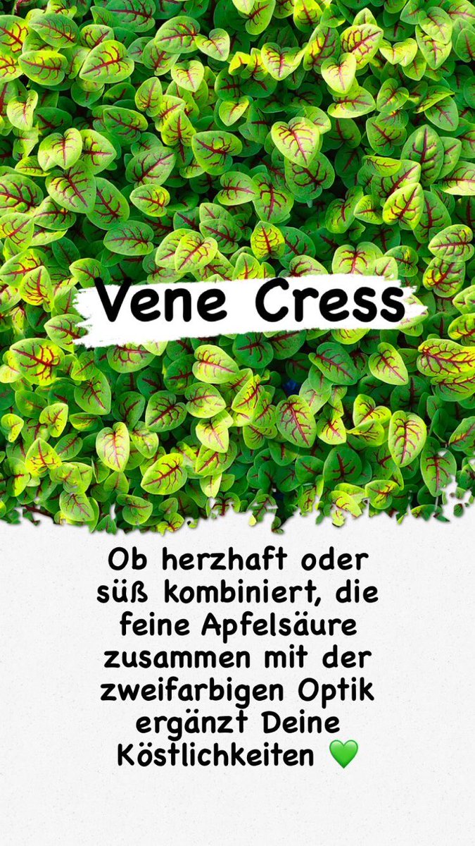 Vene Cress - best option to upgrade your recipes @koppertcressDE
