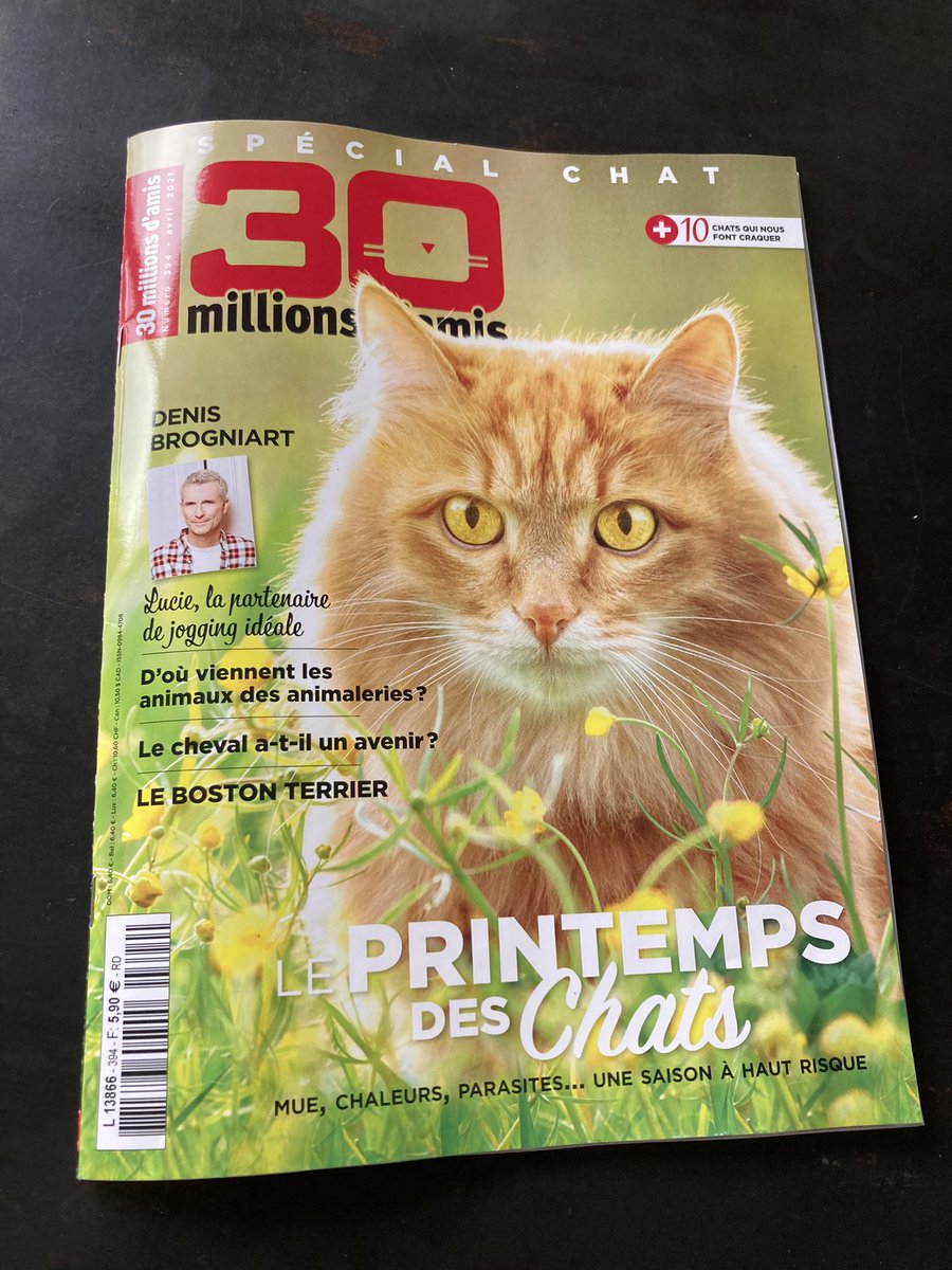 Sherlock_Chat's tweet image. On parle de moua dans le magazine des pôtizanimos ! Numaine elle a dit à la journaliste jété un trébonchat. Par contre cé vesquant la journaliste elle a pas gardé ma foto. Jé rien contre la beauté du collègue mais la mienne elle est plusse spéciale cé pourça je m’assite dessus.