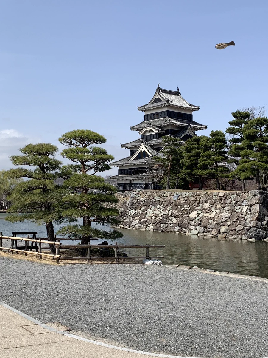 上空を飛行船が飛んでいると思ったら？鳥だったwww