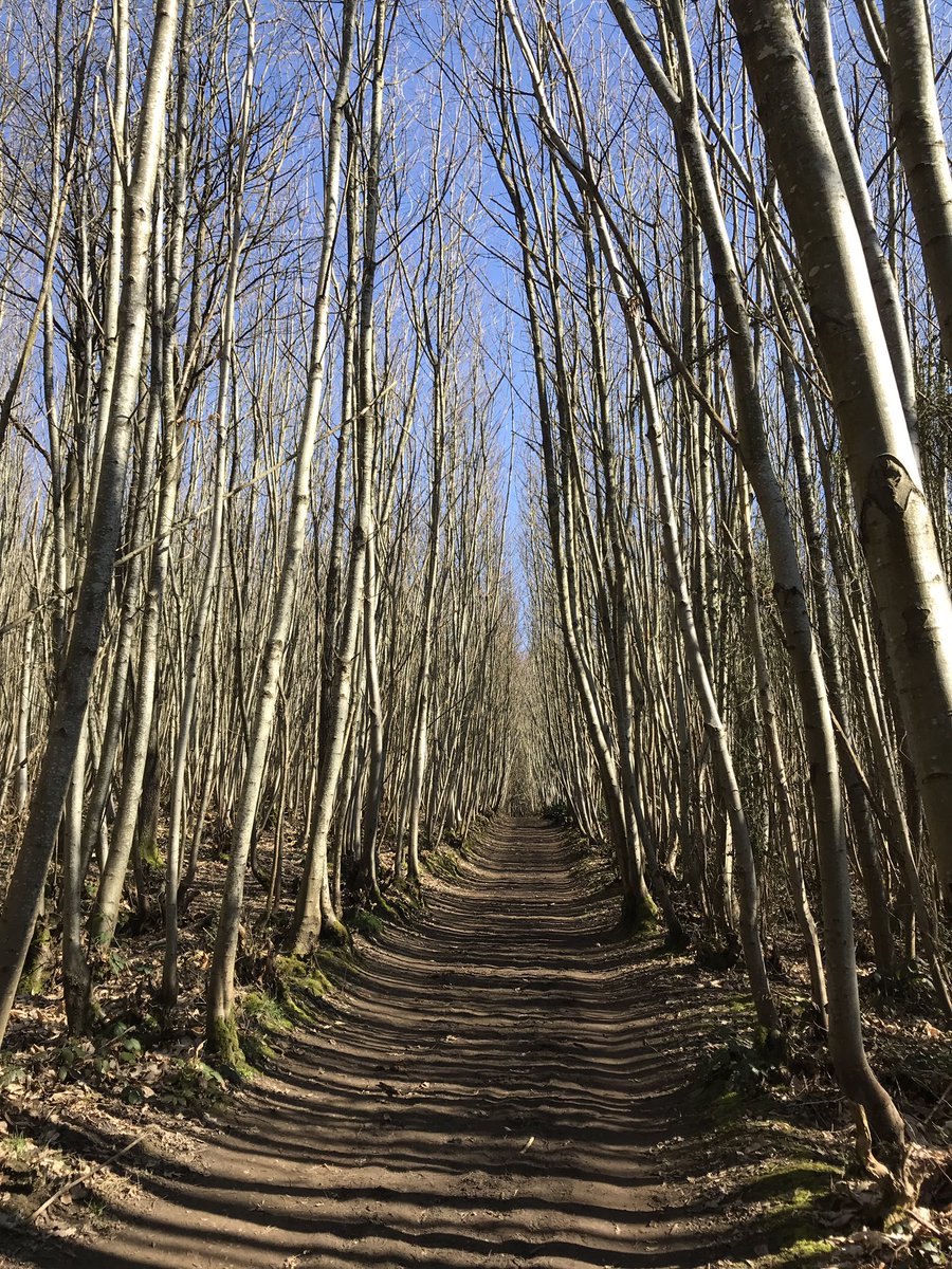 I wanted to spread a little joy, fun &amp; happiness. Through all we have endured in the last year l see light at the end of the tunnel. Lets see how far we can make it go share the hell out of this. #icanseelightcanyou #imadethiscrafts