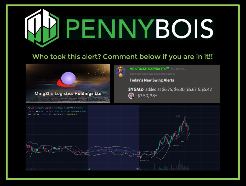 Pennybois Trade Alerts tweet media