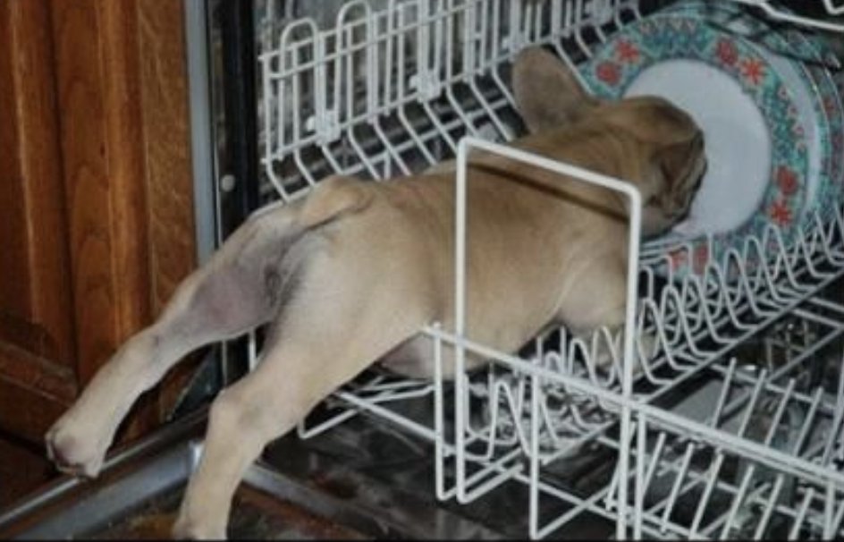 Ms. Kaylie used these slides to “launch” her morning Group Discussion to #BuildCommunity and inspire students to persistence. ow.ly/OVLB50E19aB
 #StudentCentered #Teach #BlendedLearningArc <a href="/r2blend/">Ready to Blend</a>