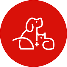 DInvestorideas's tweet image. Media alert for #CBD/ #FunctionalMushroom #Stock Link Reservations Inc/LinkResPet (OTC: $LRSV) @res_pet 
investorideas.com/news/2021/cann…