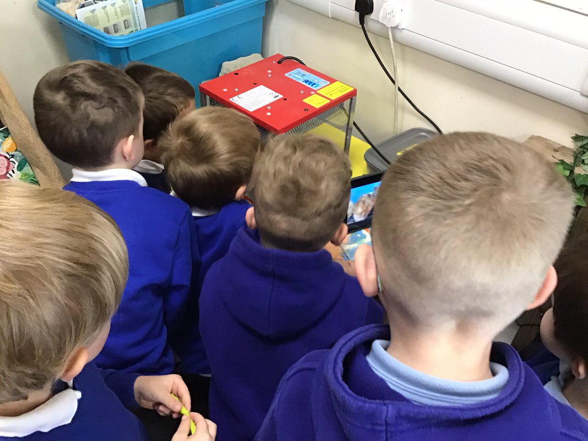 Reception have welcomed 7 new students today, we are very eggcited! 🐣🐥<a href="/MissFBradford/">Miss Bradford</a> <a href="/MrsPegman/">Mrs Pegman</a> <a href="/simonsideschool/">Simonside Primary</a>