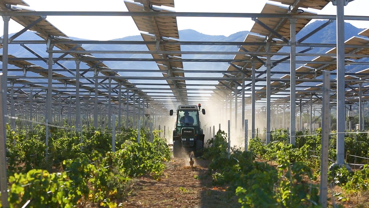 ENGIE Green et @Sun__Agri signent un partenariat ambitieux pour accélérer le développement de l'agrivoltaïsme et accompagner l'agriculture 🇫🇷 dans son adaptation aux changements climatiques #transitionenergetique #solaire @ENGIEgroup 👉bit.ly/3tzLQbe