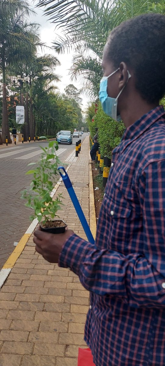 khadijabaxsan's tweet photo. I am that embarassing sister who takes her brothers out for a movie then asks them to carry her potted plants and brooms on the way back!
The confused elements #formones are back! https://t.co/QeR5fynWB8