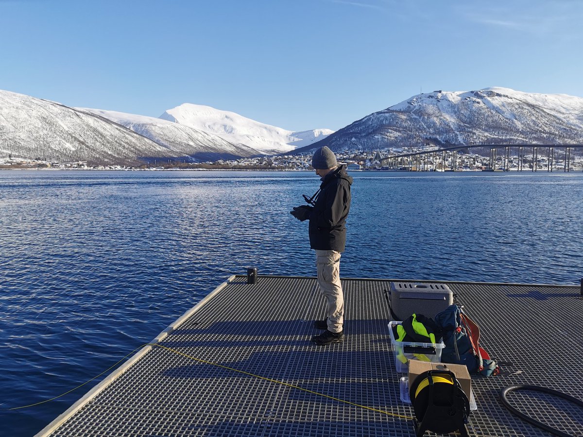 Em_Ven1's tweet photo. A beautiful day for training ROV pilots in Tromsø @UiTromso @BlueyeRobotics https://t.co/pj6NrUzFvy