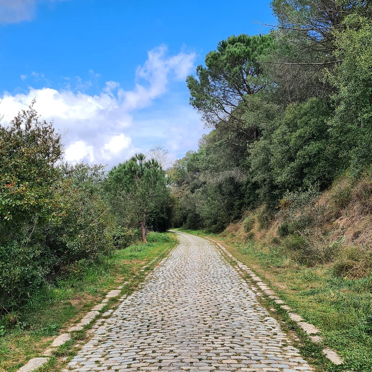 🚧 <a href="/AjCaldesMontbui/">Aj Caldes de Montbui</a> i @dibacat
 visitem les obres del nou pas de vianants que vorejarà el Pasqualet i connectarà de forma segura el nucli urbà amb el popular camí del Foment.

L’actuació, en la que ambdues institucions compartiran costos, està pressupostada en 385.687,50 €
