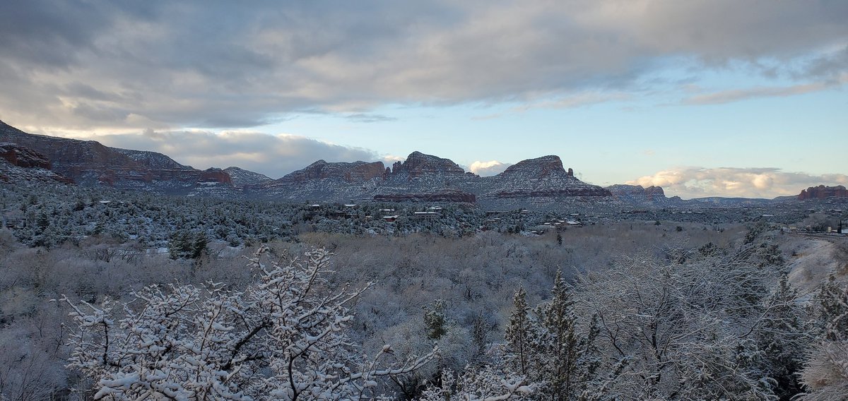 Michelle here tweet media