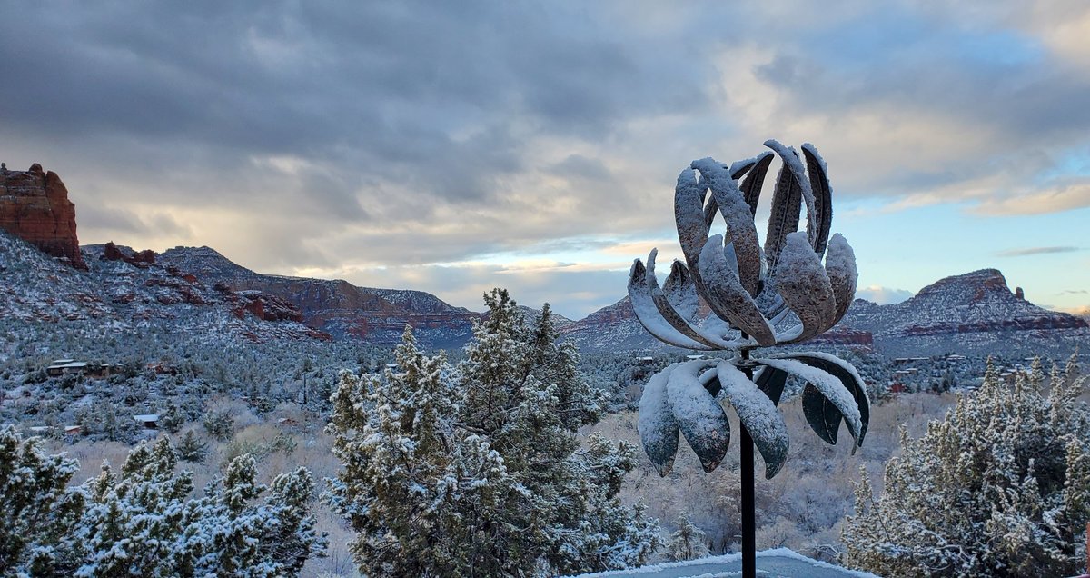 Michelle here tweet media