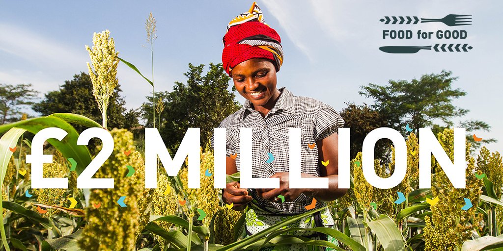 FarmAfrica's tweet photo. We did it! The #FoodforGood network has raised £2 million for Farm Africa, helping transform the lives of farming families across eastern Africa. Thank you to everyone that has helped reach this incredible milestone.  https://t.co/pJWDM1Lu0I https://t.co/cJ62uyrA3d