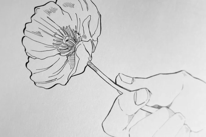 🌸 
