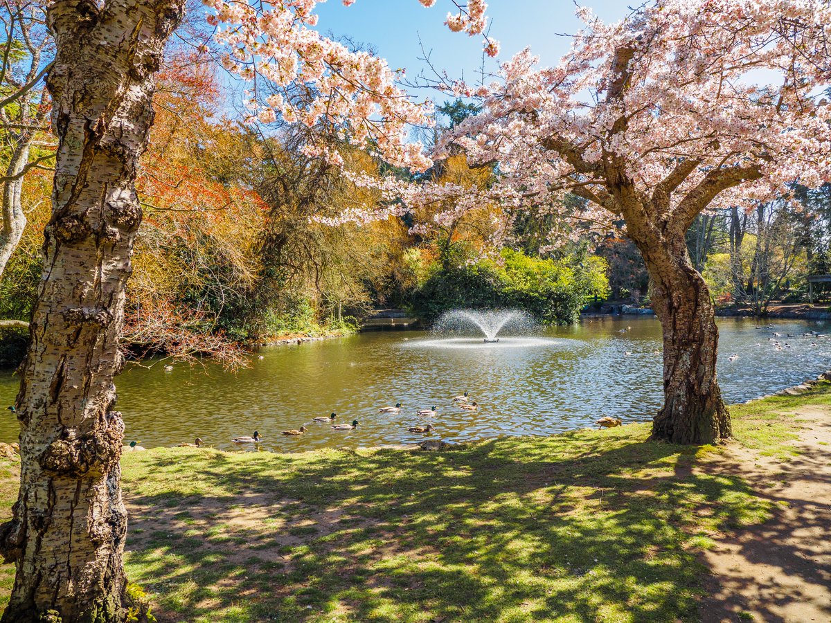 A few useful tips on getting back into the spring of things!

bit.ly/3bVicai