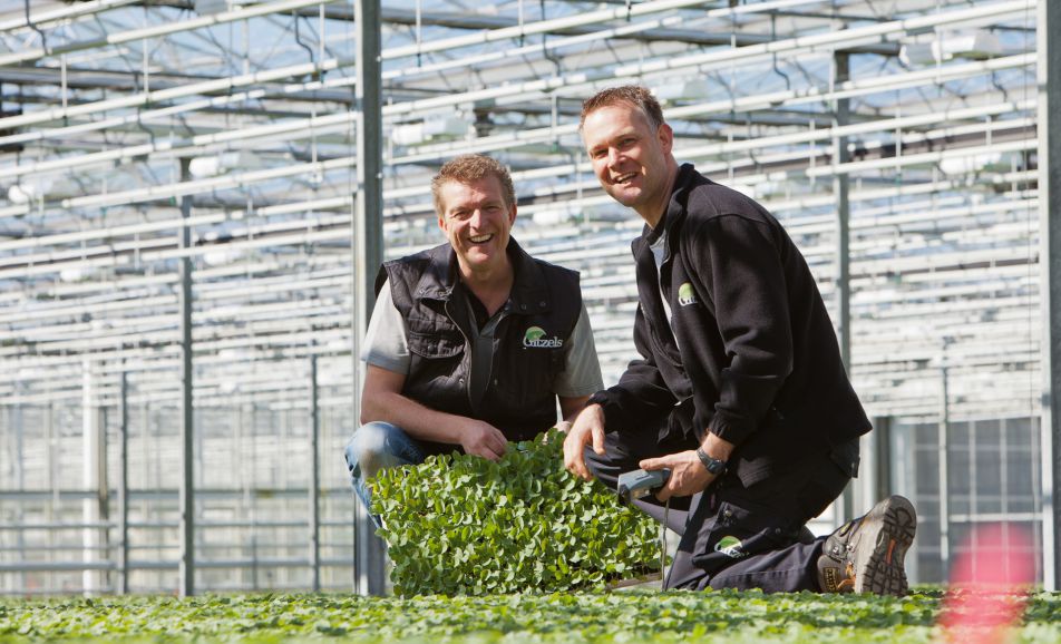 EatThis_network's tweet image. Shoutout to 𝗚𝗶𝘁𝘇𝗲𝗹𝘀 𝗣𝗹𝗮𝗻𝘁 𝗡𝘂𝗿𝘀𝗲𝗿𝘆, cabbage experts &amp;amp; award-winning sustainable entrepreneurs with ambitious goals: From 60% to 85% use of renewable energy in their greenhouses📈👉
bit.ly/3s0MPRi 
#plantenkwekerijgitzels #sustainablegoals #eatthis