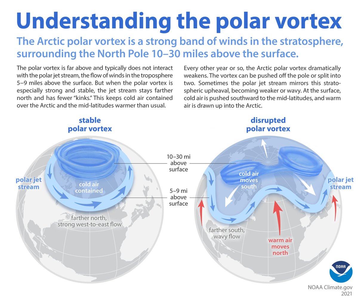 NOAAResearch's tweet image. What IS the polar vortex, and how can it impact our winter weather?

Get all your polar vortex questions answered in this @NOAAClimate explainer: climate.gov/news-features/…