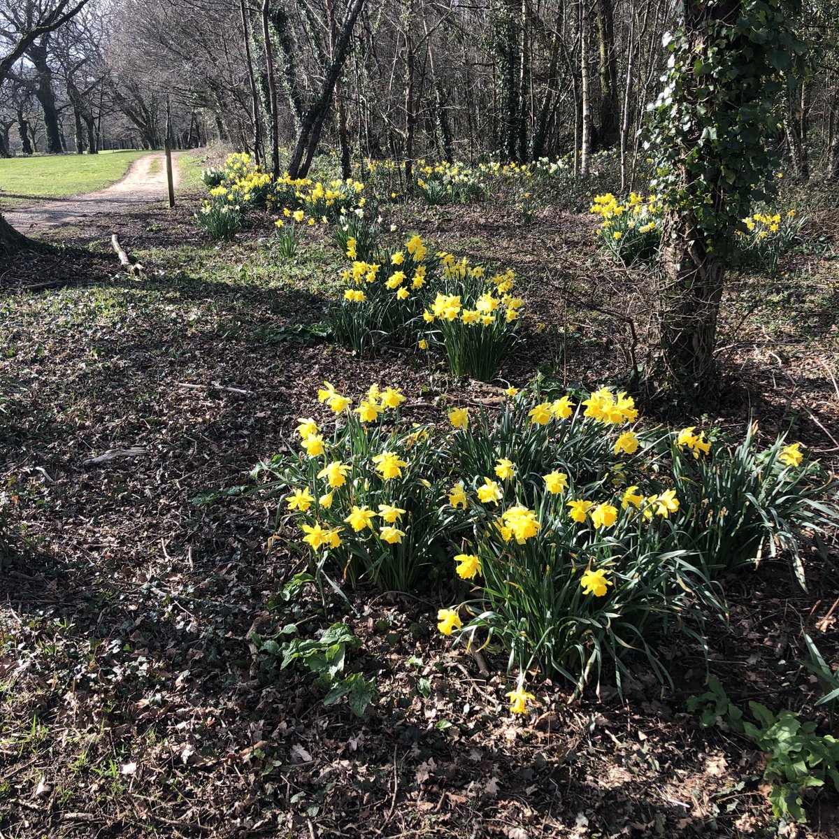 jmckenziej's tweet image. Great to get back to ⁦@GolfNewport⁩ this afternoon - golf a bit rusty but course in excellent condition for mid March - will not be many any better - well done ⁦@HGKnewportgolf⁩ and ⁦⁦@Mav78tgc⁩ - that is £920 a round so far this year 🤣🤣