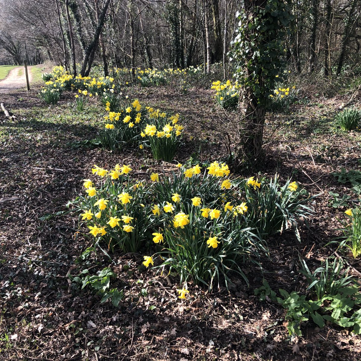 jmckenziej's tweet image. Great to get back to ⁦@GolfNewport⁩ this afternoon - golf a bit rusty but course in excellent condition for mid March - will not be many any better - well done ⁦@HGKnewportgolf⁩ and ⁦⁦@Mav78tgc⁩ - that is £920 a round so far this year 🤣🤣