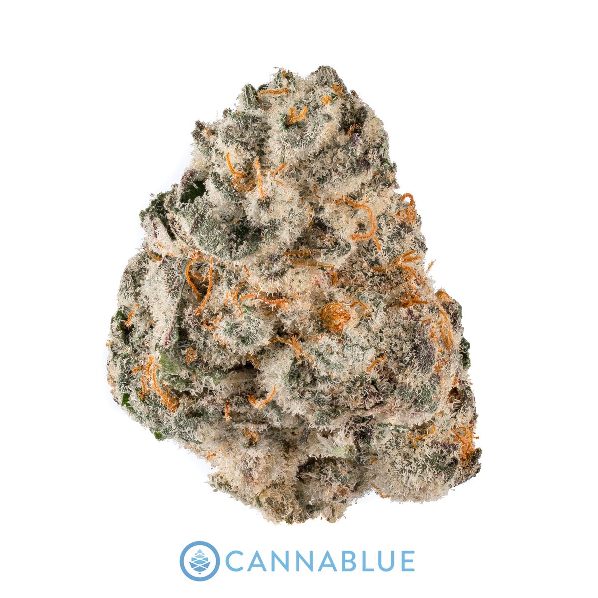 keepcannablue's tweet image. Come get some of this Grandi Guava from Grandiflora.

It&apos;s $65 for 3.5g and we&apos;ll get that to you in 45 minutes or less!

Order NOW!

#keepcannablue #cannabis