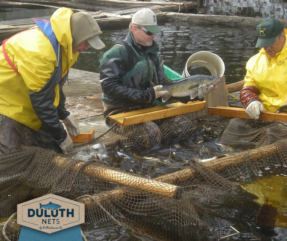 DuluthFishNets's tweet photo. Ice, snow, slush or open water, fyke nets will stay strong and reliable. Duluth Fish Nets is the premier in high-quality fish netting that will stand up to the harsh elements outside.

#winterfishing #fyke #nets 

https://t.co/vOkjoBMYVy https://t.co/JDMuo15WxG