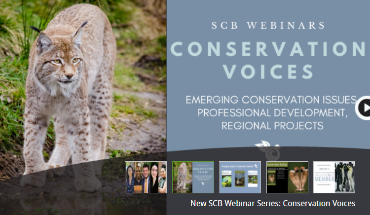 unepwcmc's tweet photo. Interested in hearing about the perspectives on area‐based conservation and its meaning for future biodiversity policy? 🐆

👩‍🔬@NinaBhola will be addressing the theme as part of the @Society4ConBio's webinar series on March 24th at 8am GMT!

Register here: https://t.co/DNCNBXmULM https://t.co/LIljXvPoxY
