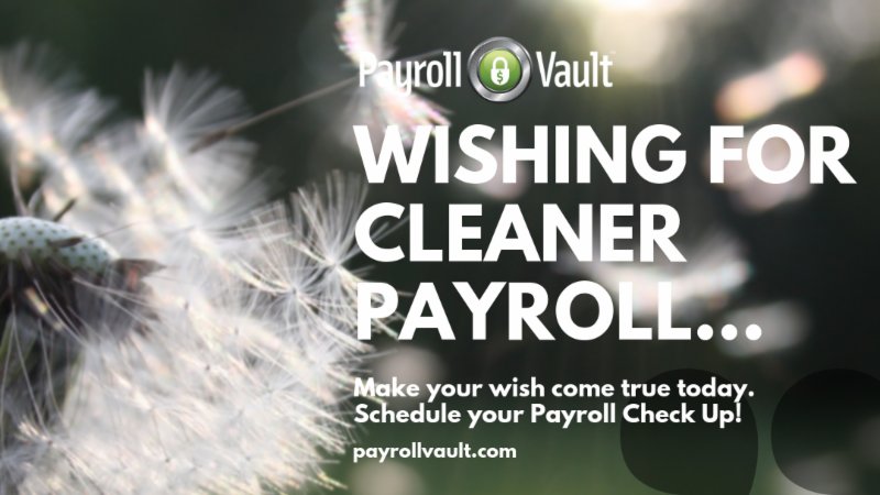 Celebrating spring, with a FREE payroll checkup!   It's that time of year and we're all anxious to tidy up and get organized.  Our payroll is not excluded from this feeling.
#payrollvault #outsourcedpayroll